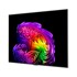 LG OLED TV OLED77G61LW, 77", 4K UHD, 120 Hz
